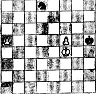 № 19. М. Доре Конкурс шахматного клуба в Сан-Пауло, 1955-56 3 приз (Выигрыш)