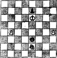 № 30. Э. Цеплер Конкурс Британской шахматной федерации 1945-46 Специальный приз (Выигрыш)