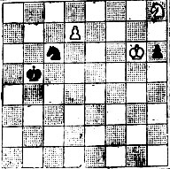 № 162. М. Доре Конкурс, посвященный шахматной олимпиаде, 1964 1 похвальный отзыв (Выигрыш)
