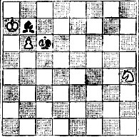 № 218. В. Кошек 'La Strategie', 1923 (переработка А. Шерона, 1952) (Выигрыш)