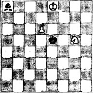 № 241. М. Диментберг 'Шахматы в СССР', 1949 Специальный почетный отзыв (Выигрыш)