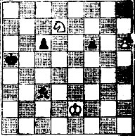 № 267. В. Шпекман 'Schach-Echo', 1961 (Выигрыш)