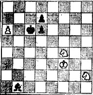 № 313. А. Максимовcких 'Problem', 1972 (Выигрыш)