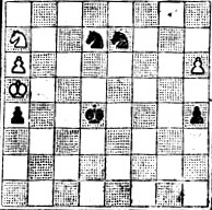 № 344. Г. Ринк 'British Chess Magazine', 1917 (Выигрыш)