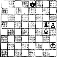 № 358. А. Троицкий 'Шахматный журнал', 1896 (Выигрыш)
