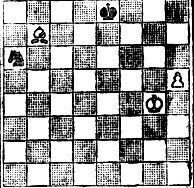 № 399. Б. Севитов 'Шахматы в СССР', 1937 (Выигрыш)
