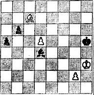 № 491. А. Вотава 'Schach-Magazin', 1951 (Выигрыш)