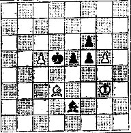 № 509. Г. Ринк 'Britisch Chess Magazine', 1916 (Выигрыш)