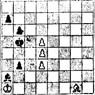 № 542. X. Муньос 1943 (Выигрыш)