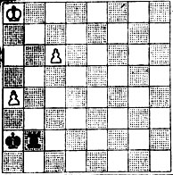 № 646. В. Корольков Бюллетень 'Матч-турнир в Будапеште', 1950 (Выигрыш)