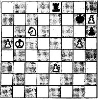 № 741. А. Герберг 'Deutsche Schachzeitung', 1955 (Выигрыш)
