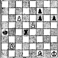 № 838. В. и М. Платовы 'Шахматное обозрение', 1909 (Выигрыш)