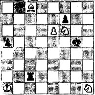 № 943. К. Перонасе Конкурс шахматного клуба в Сан-Пауло, 1955-56 1 приз (Выигрыш)