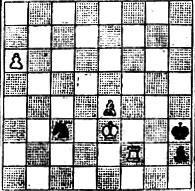 № 974. Э. Цеплер 'British Chess Magazine', 1951 (Выигрыш)