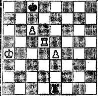 № 1016. В. Проскуровский 'Tidskrift for Schack', 1969 (Выигрыш)