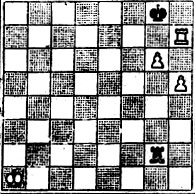 № 1019. Г. Каспарян 'Шахматы в СССР', 1946 (Выигрыш только при ходе черных)