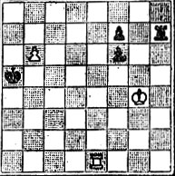 № 1119. В. Долгов 'Шахматна мисъл', 1972 (Выигрыш)