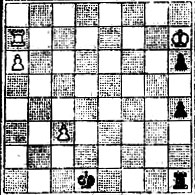 № 1123. Г. Ринк Конкурс Будапештского шахматного клуба, 1911 1 приз (Выигрыш)