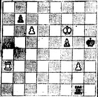 № 1126. Л. Селезнев 'Tidskrift for Schack', 1923 (Выигрыш)