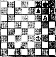 № 1272. С. Козловский 'Wiener Schachzeitung', 1932 (Выигрыш)