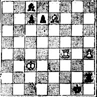 № 1296. А. Гавашл 'Chess Amateur', 1913 (Выигрыш)