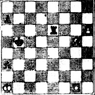 № 1305. А. Вотава 'Schach-Magazin', 1951 (Выигрыш)