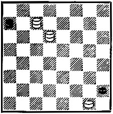 7. 'Шахматный журнал', 1895