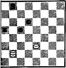 13. 'Шахматный журнал', 1896