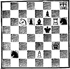 2. 'Шахматный журнал', 1894. Мат в 2 хода