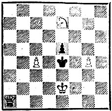 18. 'Шахматное обозрение', 1904. Мат в 3 хода